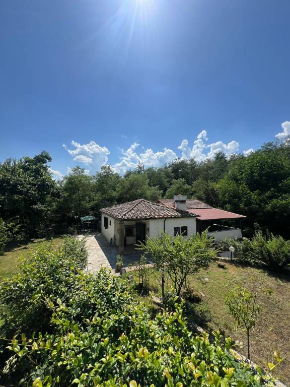 foto8