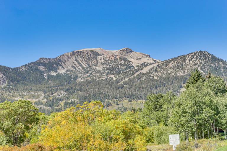 Cozy Mammoth Lakes Studio: 5 Mi to Ski Slopes — photo 4