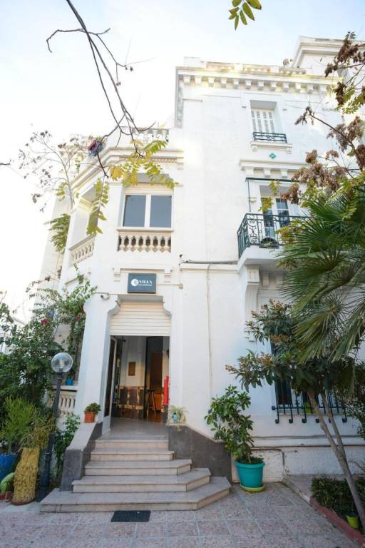Villa Les Palmes — photo 5