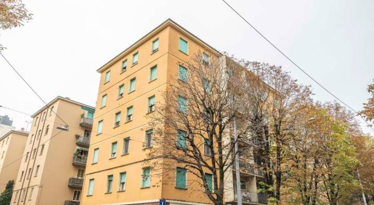 Lovely apartment | Pets are welcome — photo 4