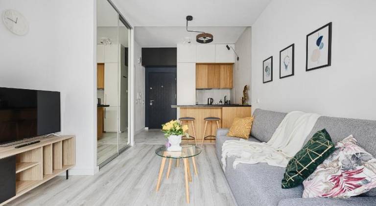 Lovely apartment | Pets are welcome in Lódz