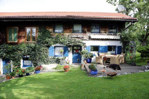 50 m² Ferienhaus