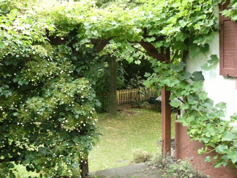 Fully equipped vacation home with yard | Pets allowed — photo 5