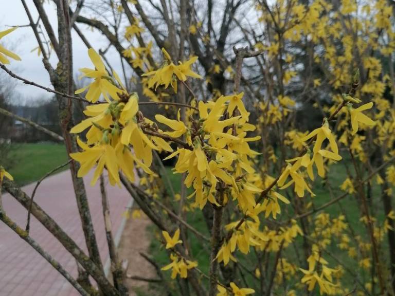 foto34