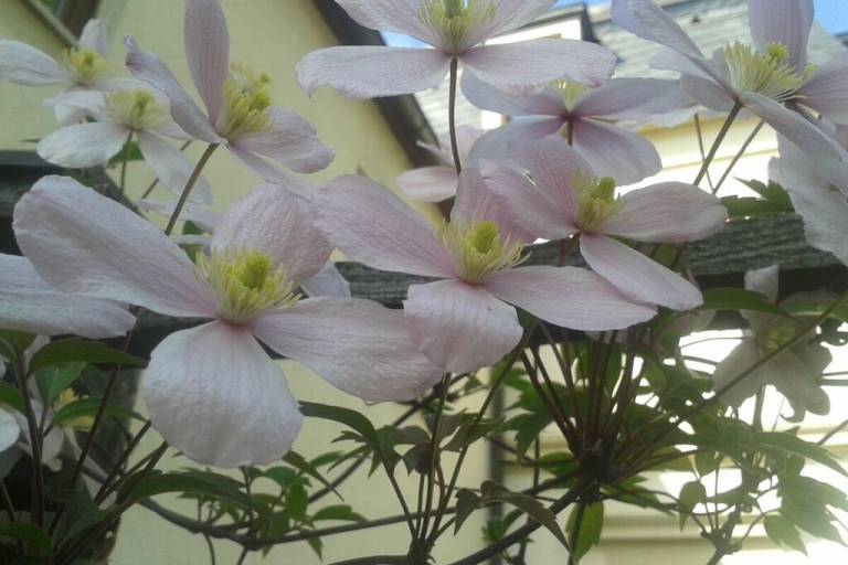 foto19