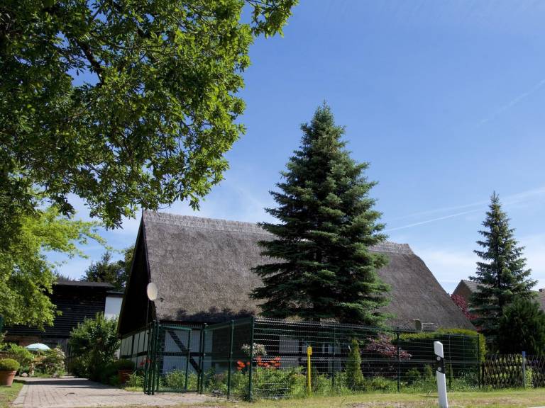 Ferienhaus Ahlbeck