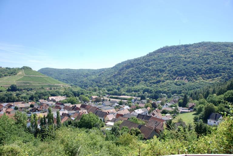 foto11