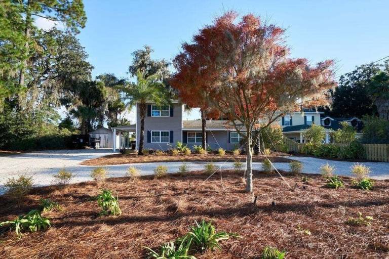 Cottage Savannah