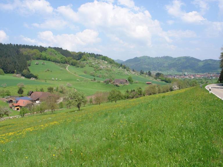 foto39