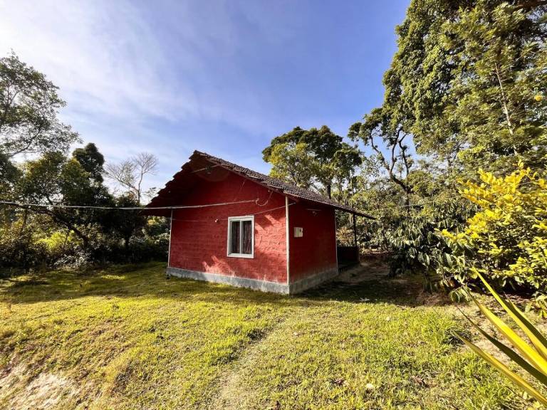 Vacation home with barbeque | Perfect for remote work in Madikeri