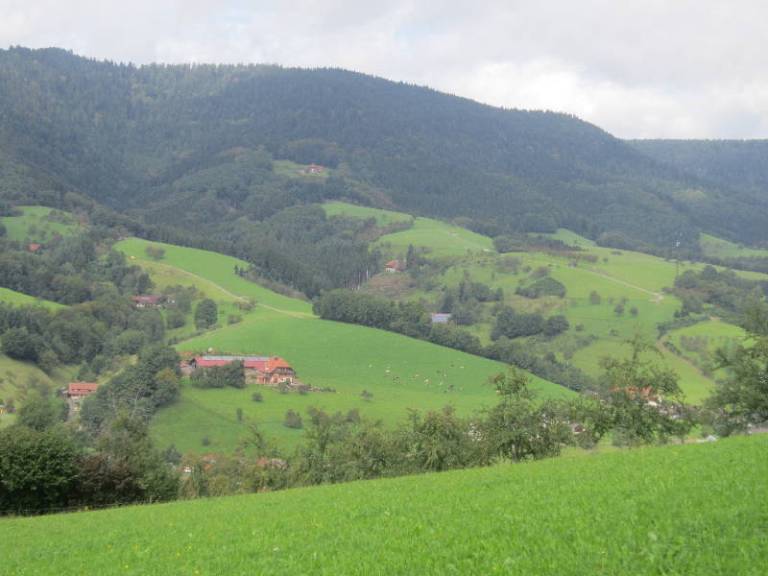 foto15