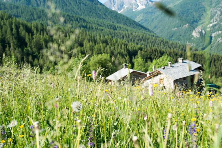 Chalet Argentera