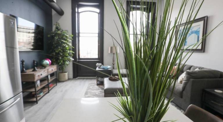 Big apartment | Pet-friendly — photo 5