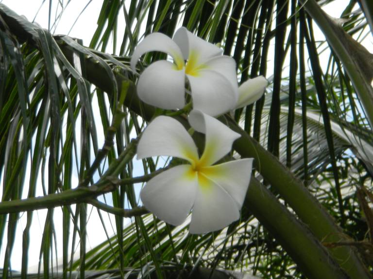 foto7