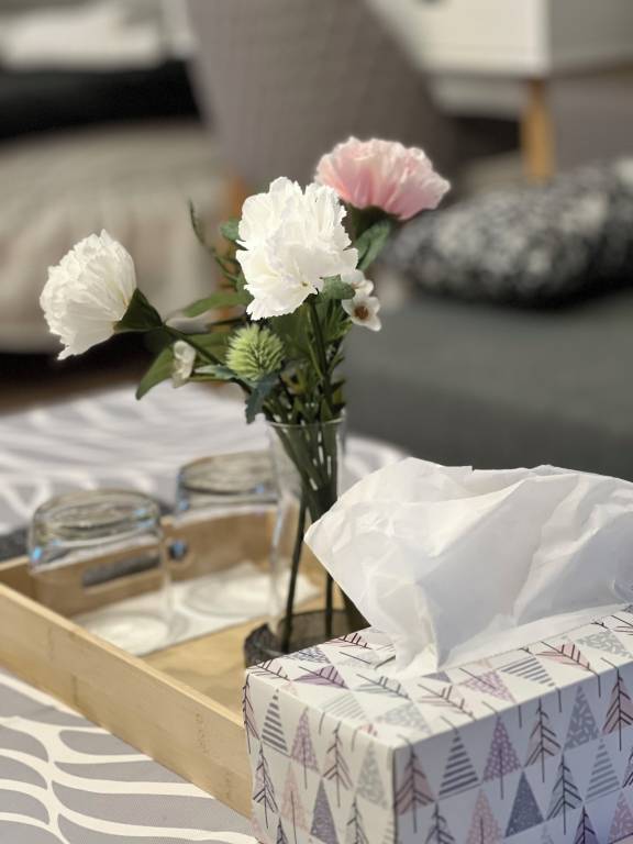 Ferienwohnung Rüsselsheim am Main