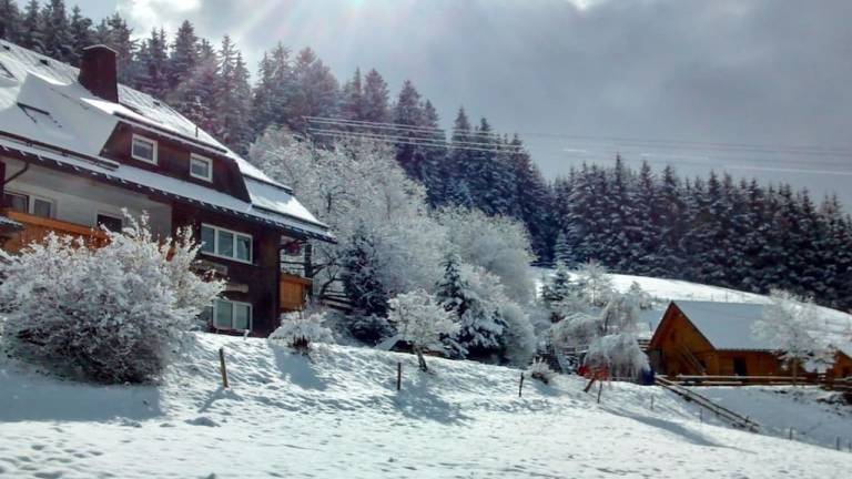 Ferienhaus  Titisee-Neustadt