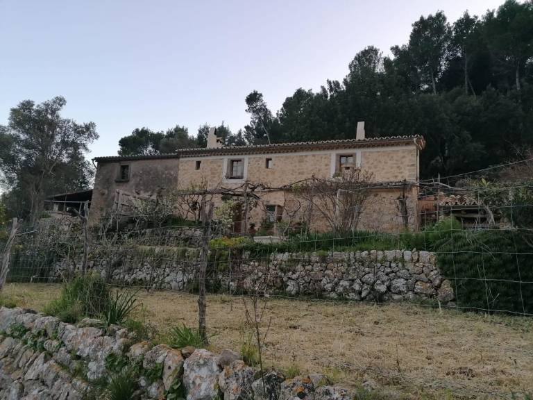 foto29