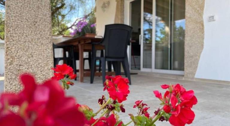 Lovely house | Pets are welcome — photo 4