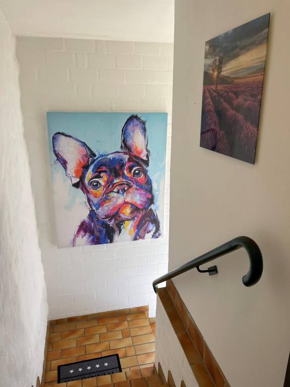 foto6