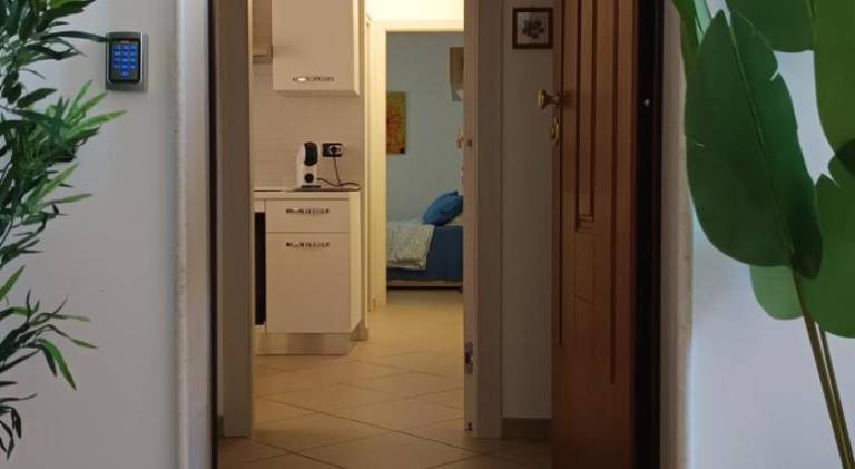 foto7