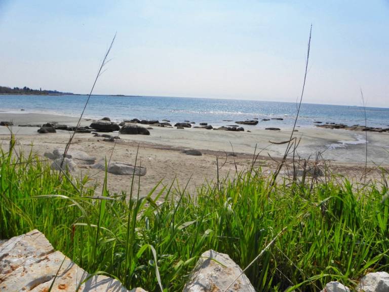 Rental apartment | Beach nearby | Dogs allowed — photo 3