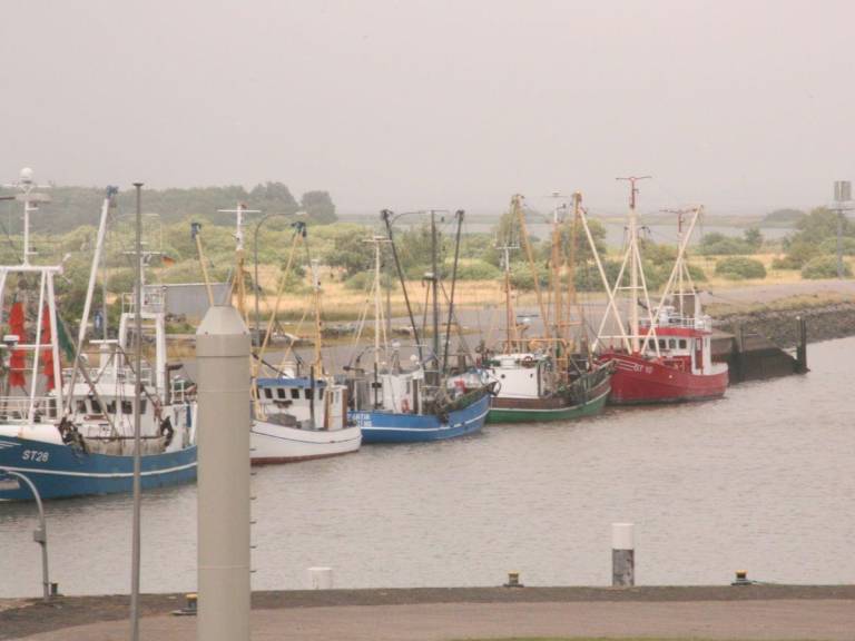 foto13