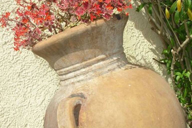 foto11