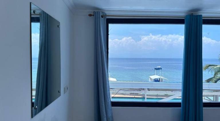 TSN Dive Resort Moalboal — photo 4