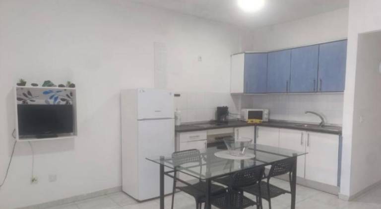 Apartment with terrace — photo 5