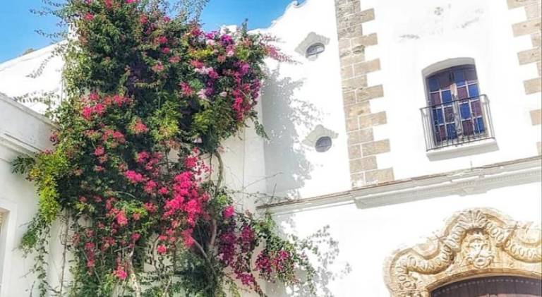 El Beaterio Apartments in Tarifa