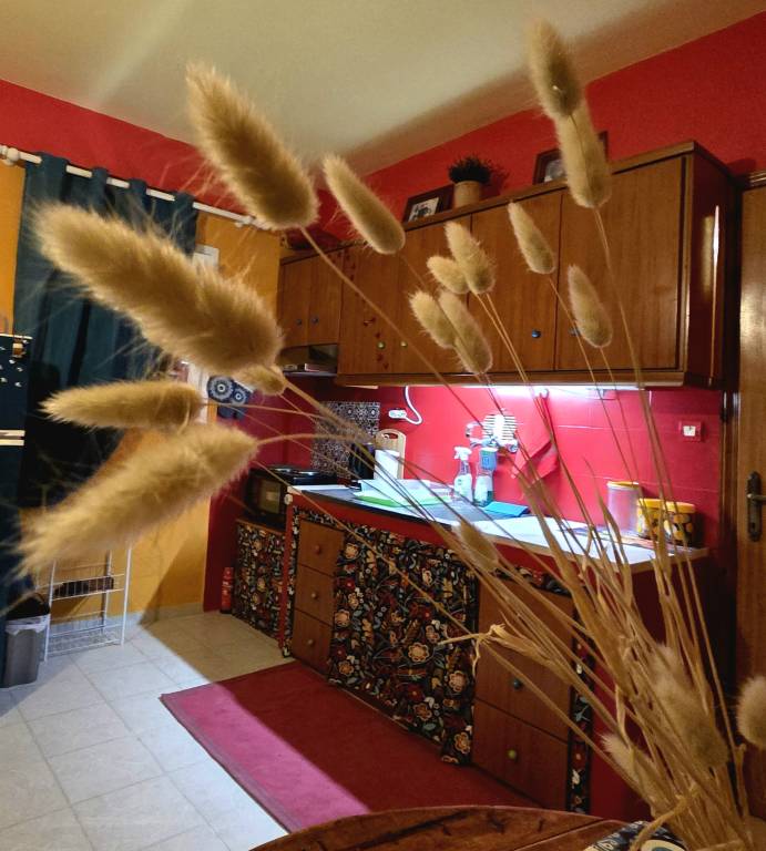 foto29