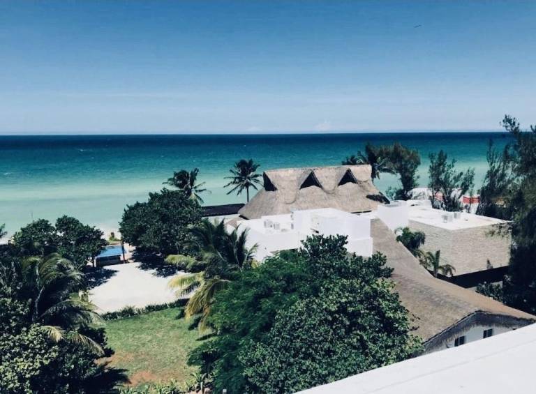 AMA Yucatan — photo 4
