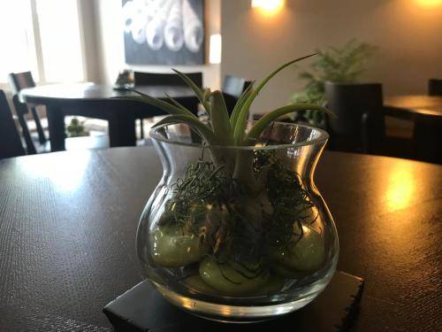 foto13