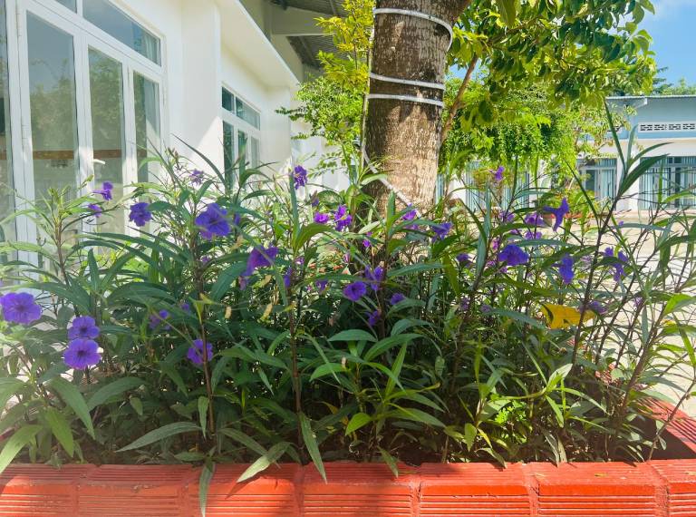 HY. GUESTHOUSE PHU QUOC — photo 5