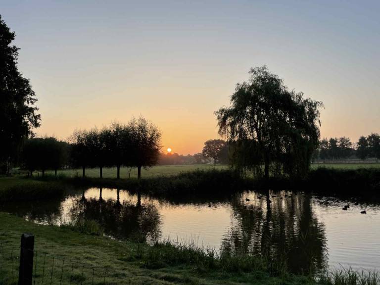foto14