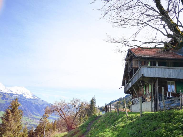 Weidhütte Wegscheide Wohnung 2 Stock