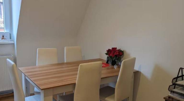 Loft near the Castle, Private Room - shared spaces and bathroom — photo 4