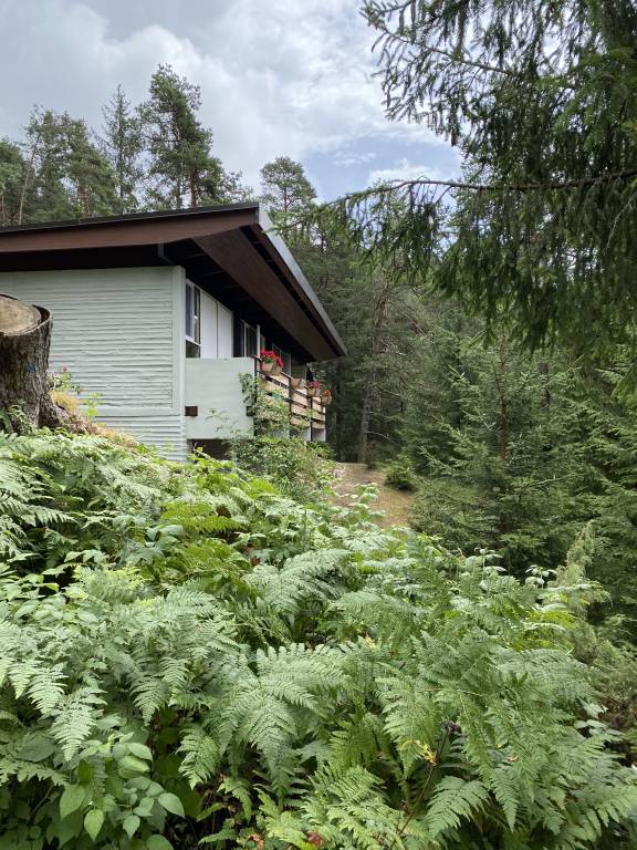 Villa Vodo Cadore