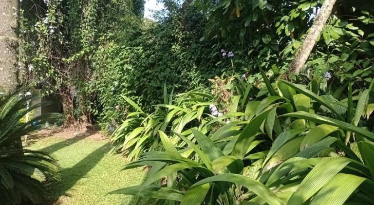 foto41