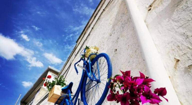 Vacation home | Pets are welcome in Trani