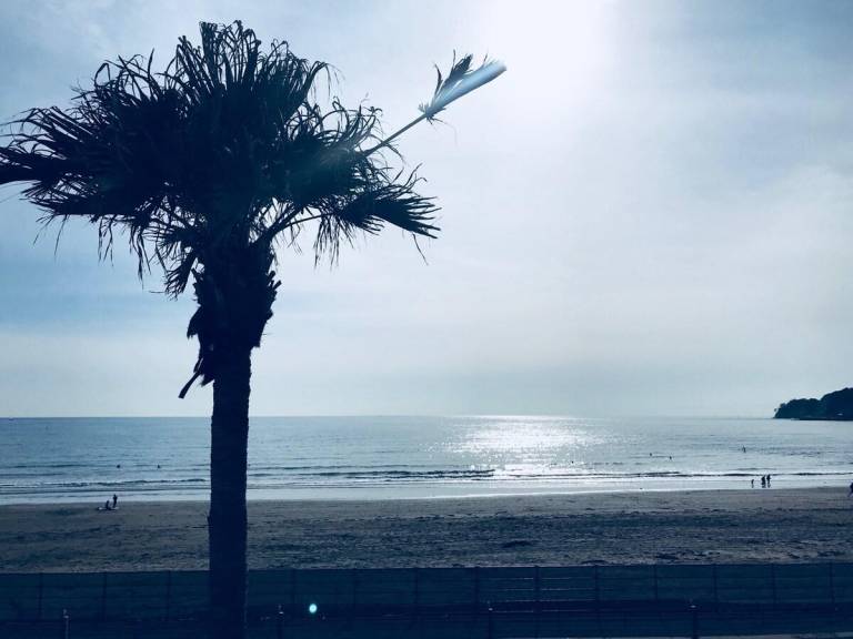 foto2
