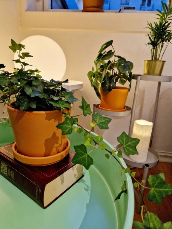 foto5