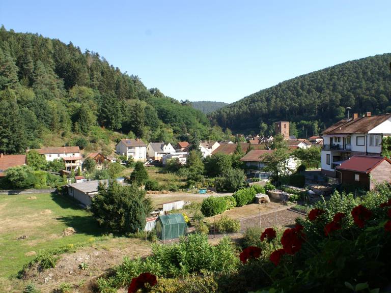 foto4