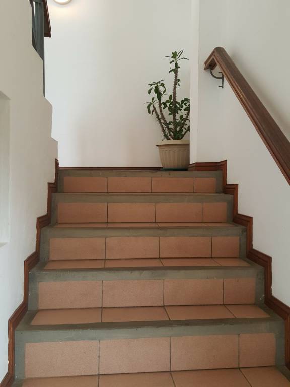 foto22