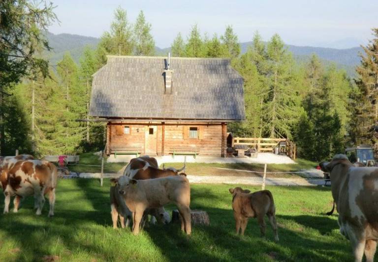 foto21