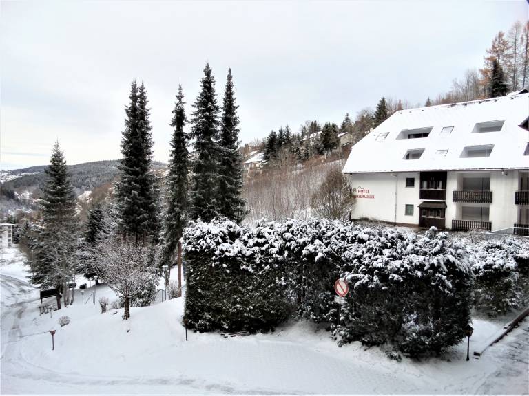 Ferienwohnung  Triberg