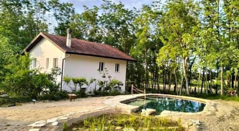Farm with yard & pool — photo 5