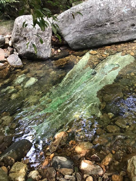 foto41