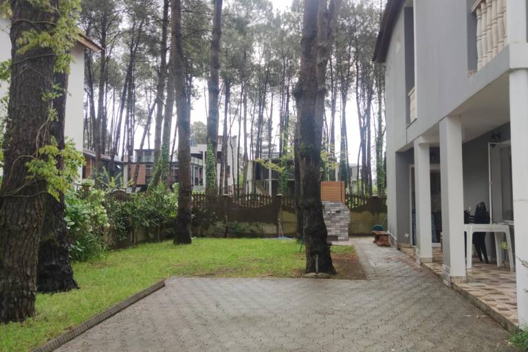 foto18