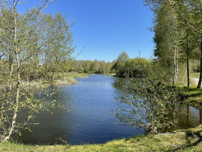 foto10